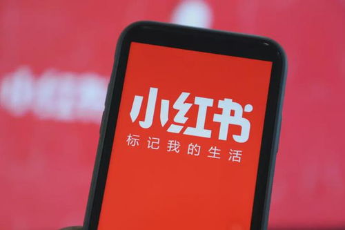 商業(yè)動(dòng)態(tài)觀察 融資潮與業(yè)務(wù)拓展并行